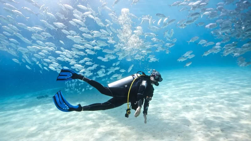 diving tour dubrovnik 4